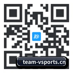 系统版 iOS 二维码